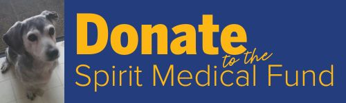 Donate to Spirit Medical Fund